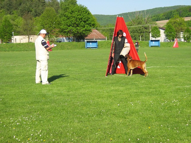 www.atibox.net * www.euroboxer.eu * www.boxergenealogia.eu